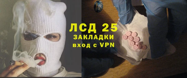 стаф Алексин