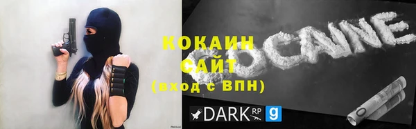 соль ск Алзамай